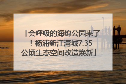 会呼吸的海绵公园来了！杨浦新江湾城7.35公顷生态空间改造焕新