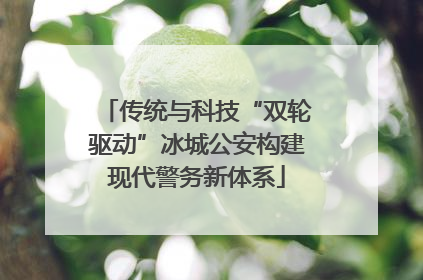 传统与科技“双轮驱动”冰城公安构建现代警务新体系