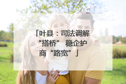 叶县：司法调解“搭桥” 稳企护商“路宽”
