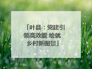 叶县：党建引领高效能 绘就乡村新图景