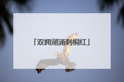 双拥潮涌刺桐红