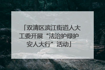双清区滨江街道人大工委开展“法治护绿护安人大行”活动