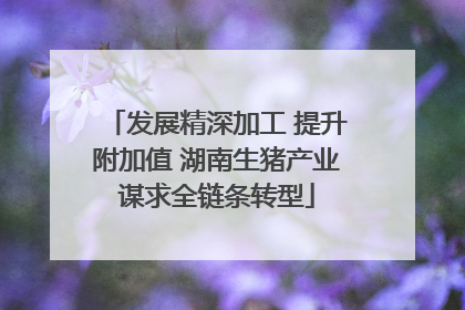 发展精深加工 提升附加值 湖南生猪产业谋求全链条转型
