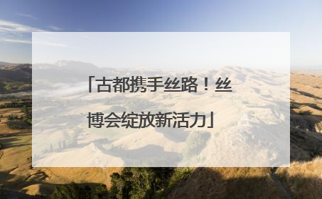 古都携手丝路！丝博会绽放新活力