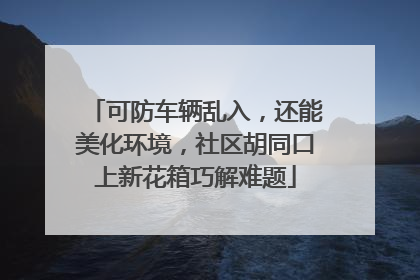 可防车辆乱入，还能美化环境，社区胡同口上新花箱巧解难题