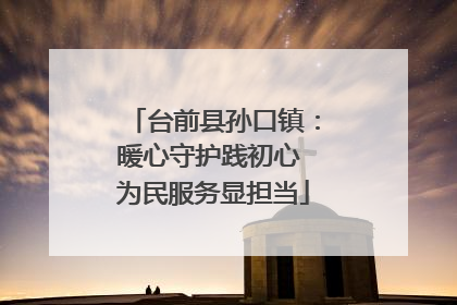 台前县孙口镇：暖心守护践初心 为民服务显担当