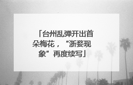 台州乱弹开出首朵梅花，“浙婺现象”再度续写