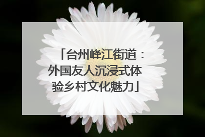 台州峰江街道：外国友人沉浸式体验乡村文化魅力