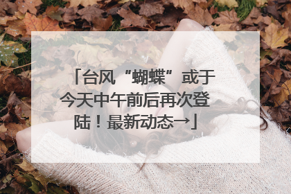 台风“蝴蝶”或于今天中午前后再次登陆！最新动态→