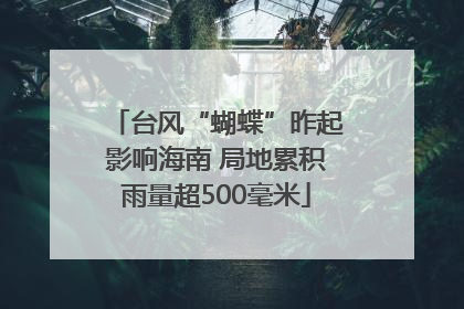 台风“蝴蝶”昨起影响海南 局地累积雨量超500毫米