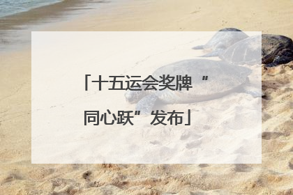 十五运会奖牌“同心跃”发布