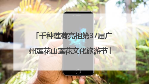 千种莲荷亮相第37届广州莲花山莲花文化旅游节