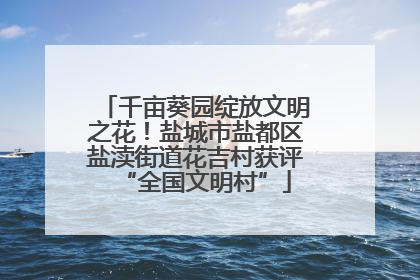 千亩葵园绽放文明之花！盐城市盐都区盐渎街道花吉村获评“全国文明村”