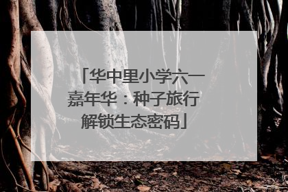 华中里小学六一嘉年华：种子旅行解锁生态密码