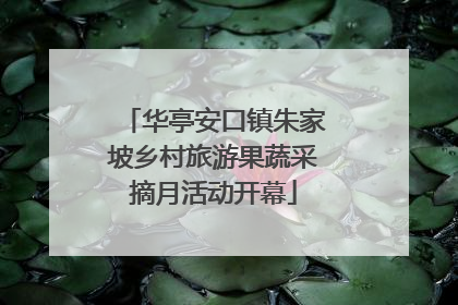 华亭安口镇朱家坡乡村旅游果蔬采摘月活动开幕