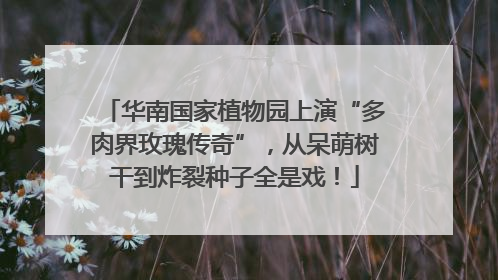 华南国家植物园上演“多肉界玫瑰传奇”，从呆萌树干到炸裂种子全是戏！