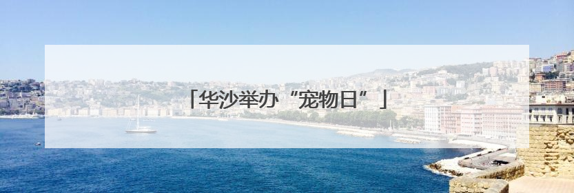 华沙举办“宠物日”
