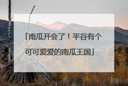南瓜开会了！平谷有个可可爱爱的南瓜王国