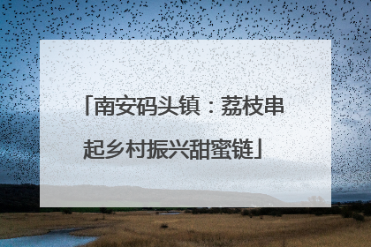 南安码头镇：荔枝串起乡村振兴甜蜜链