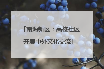 南海新区：高校社区开展中外文化交流