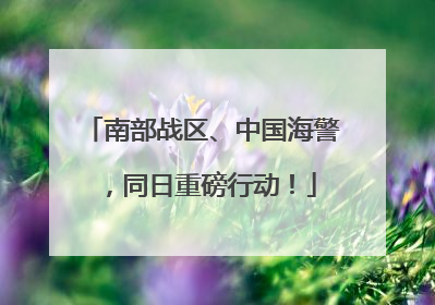 南部战区、中国海警，同日重磅行动！