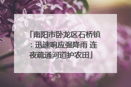 南阳市卧龙区石桥镇：迅速响应强降雨 连夜疏通河道护农田