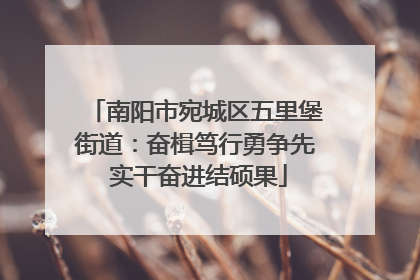 南阳市宛城区五里堡街道：奋楫笃行勇争先 实干奋进结硕果