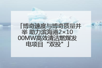 博奇速度与博奇质量并举 助力滨海港2×1000MW高效清洁燃煤发电项目“双投”