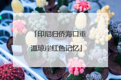 印尼归侨海口重温琼崖红色记忆