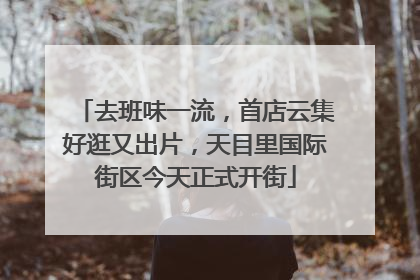 去班味一流，首店云集好逛又出片，天目里国际街区今天正式开街