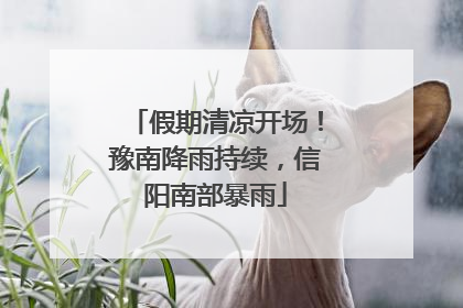 假期清凉开场！豫南降雨持续，信阳南部暴雨