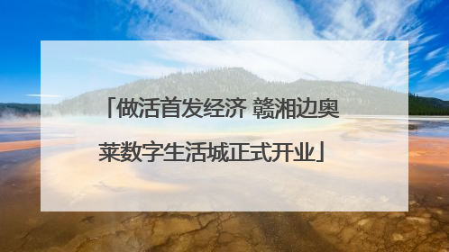 做活首发经济 赣湘边奥莱数字生活城正式开业