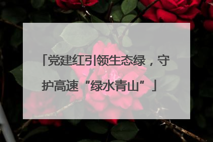 党建红引领生态绿，守护高速“绿水青山”