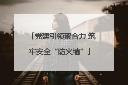 党建引领聚合力 筑牢安全“防火墙”