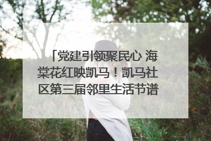 党建引领聚民心 海棠花红映凯马！凯马社区第三届邻里生活节谱写幸福新篇章