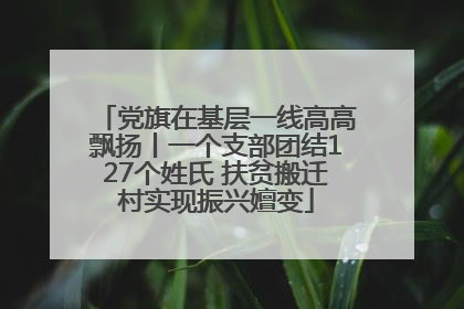 党旗在基层一线高高飘扬丨一个支部团结127个姓氏 扶贫搬迁村实现振兴嬗变