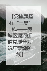 党旗飘扬在“三夏”一线——宛城区溧河街道党群合力筑牢禁烧防线