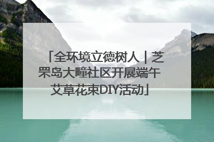 全环境立德树人｜芝罘岛大疃社区开展端午艾草花束DIY活动