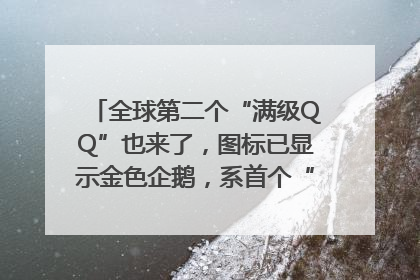 全球第二个“满级QQ”也来了，图标已显示金色企鹅，系首个“满级QQ”的小号