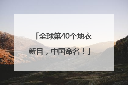 全球第40个地衣新目，中国命名！
