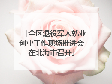 全区退役军人就业创业工作现场推进会在北海市召开