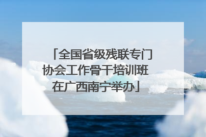 全国省级残联专门协会工作骨干培训班在广西南宁举办