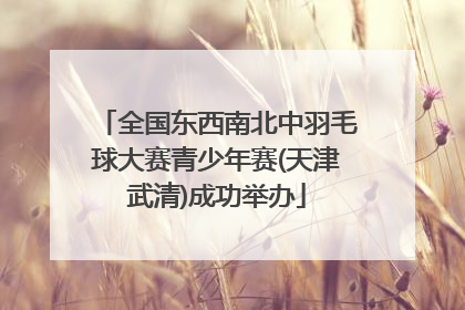 全国东西南北中羽毛球大赛青少年赛(天津武清)成功举办