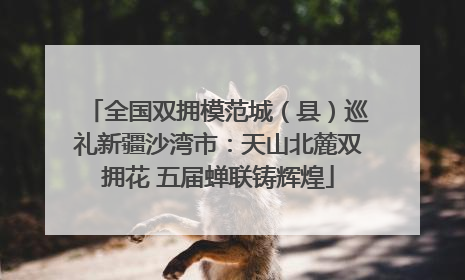 全国双拥模范城（县）巡礼新疆沙湾市：天山北麓双拥花 五届蝉联铸辉煌