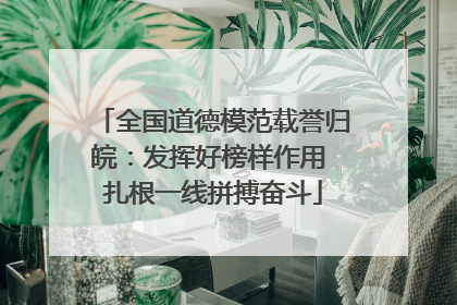 全国道德模范载誉归皖：发挥好榜样作用 扎根一线拼搏奋斗