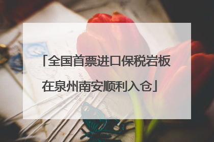 全国首票进口保税岩板在泉州南安顺利入仓