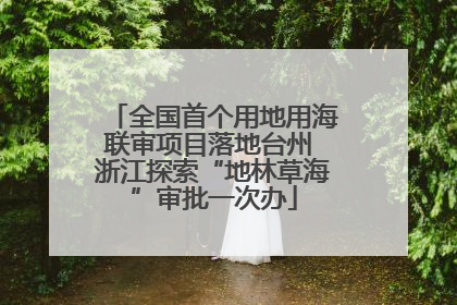 全国首个用地用海联审项目落地台州 浙江探索“地林草海”审批一次办