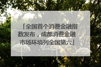 全国首个消费金融指数发布，成都消费金融市场环境列全国第六