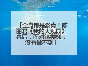 全身都是淤青！陈丽君《我的大观园》幕后：面对滚楼梯，没有做不到