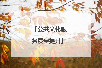 公共文化服务质量提升